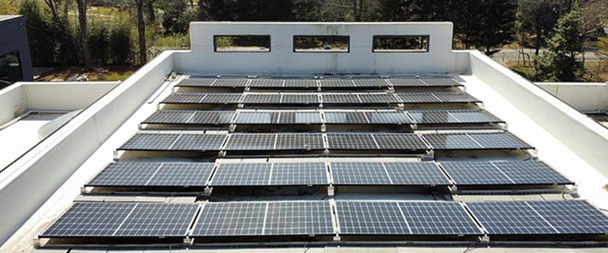 The Rise of Solar Energy